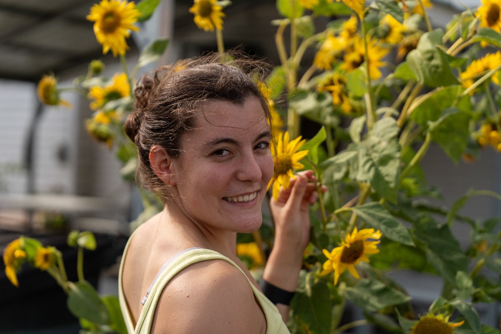 Sunflower smile